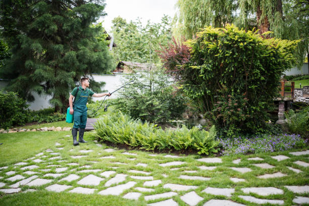 Best Pest Prevention Services  in Wickes, AR