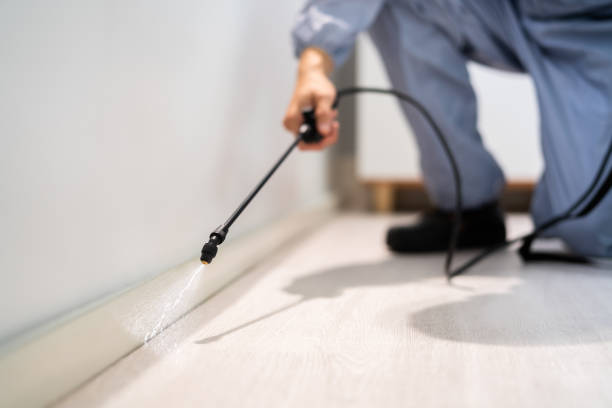 Best Commercial Pest Control Services  in Wickes, AR