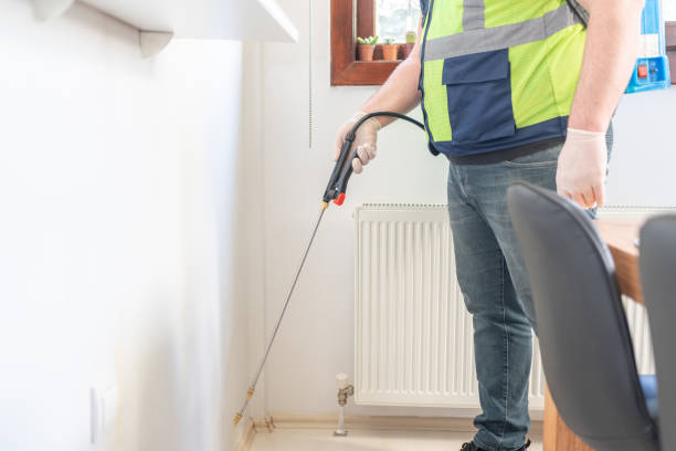 Best Termite Control Services  in Wickes, AR