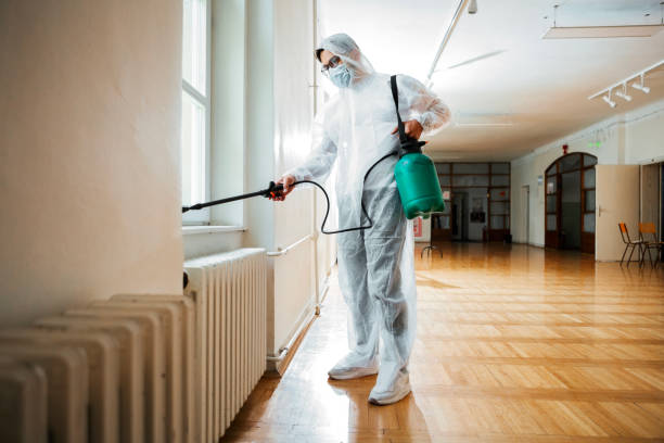 Best Wildlife Control Services  in Wickes, AR