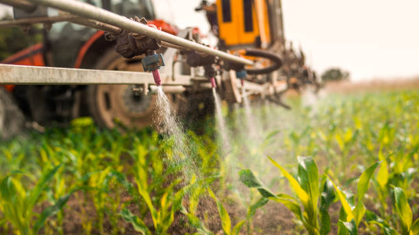 Best Mosquito Control Services  in Wickes, AR